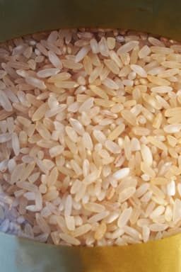 Vilag Rice Himalayan Rainfed Village Rice