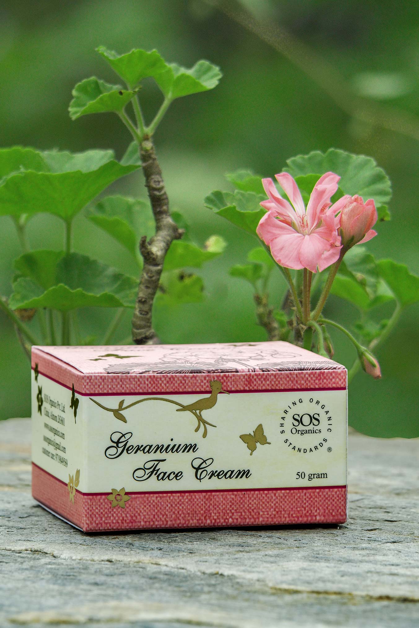 Organic shop face cream
