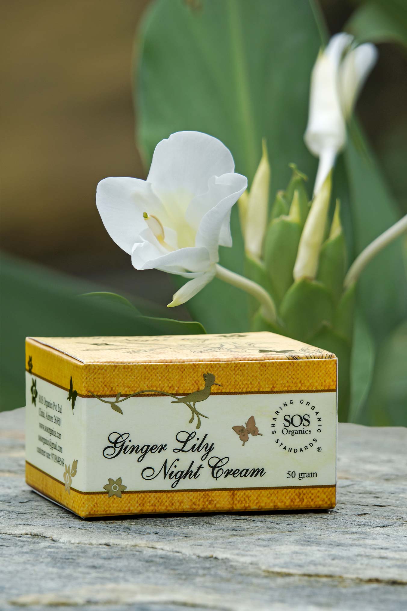 WAGNUS. Mix:Ginger Lily Easter 8芯 ×
