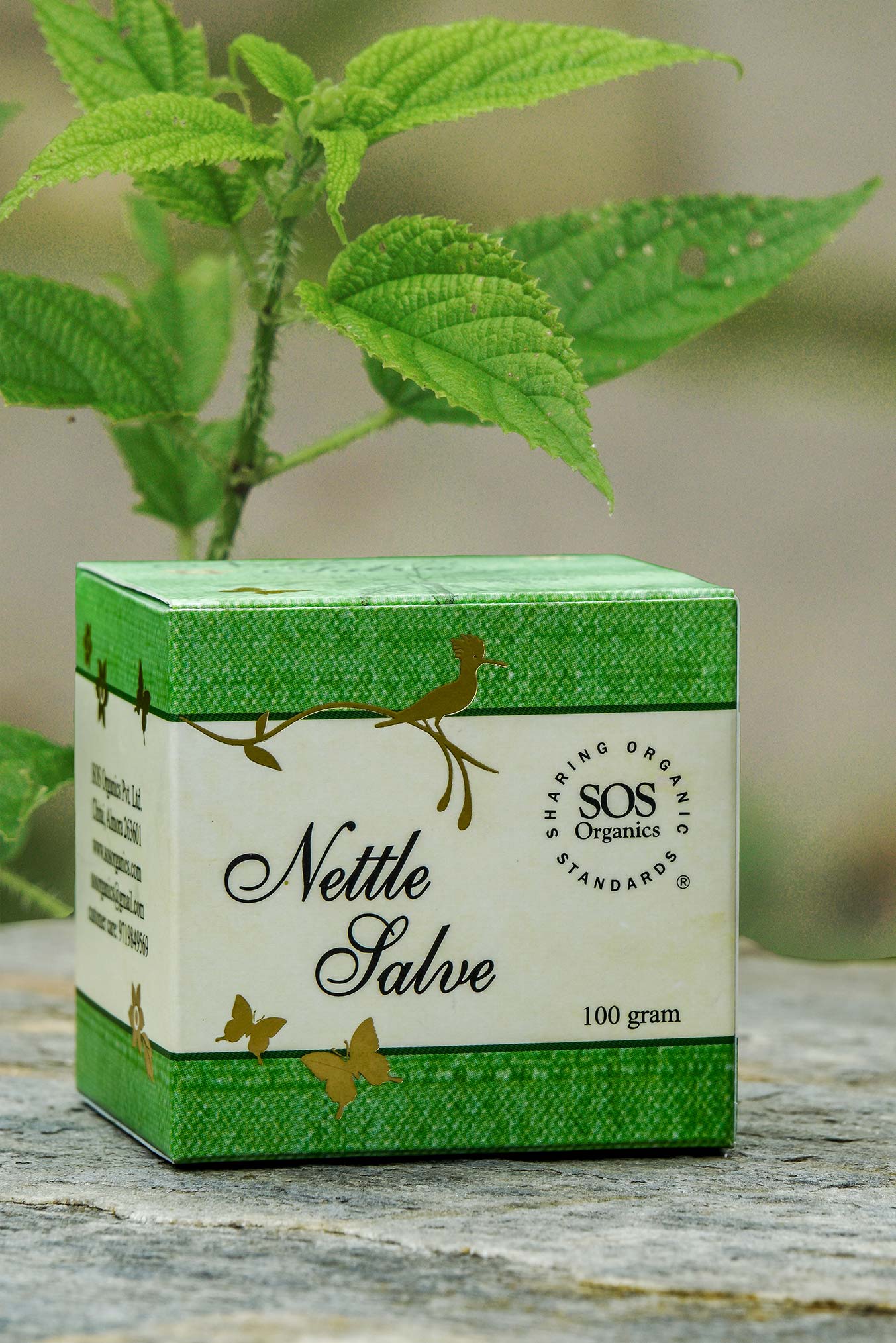 Himalayan Nettle Salve Nature's Healing Elixir for Healthy Skin